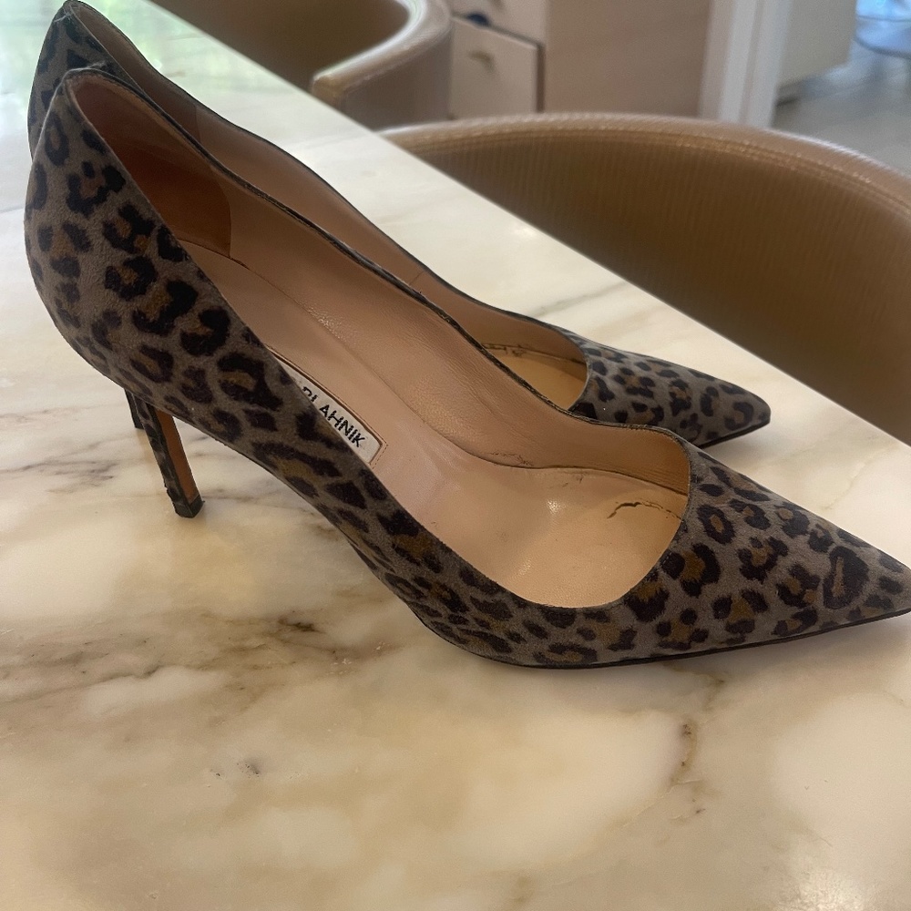 Manolo Blahnik chic leopard sexy suede pumps